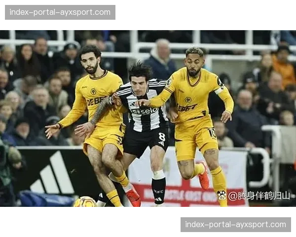 多家英格兰媒体报道托纳利转会传闻，纽卡方面拒绝置评