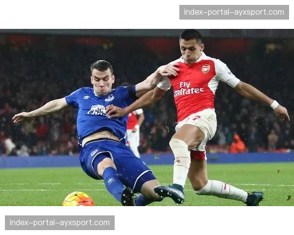 体育流媒体服务商DAZN获得在英播出英超比赛集锦的许可 体育流媒体服务商DAZN获得在英播出英超比赛集锦的许可